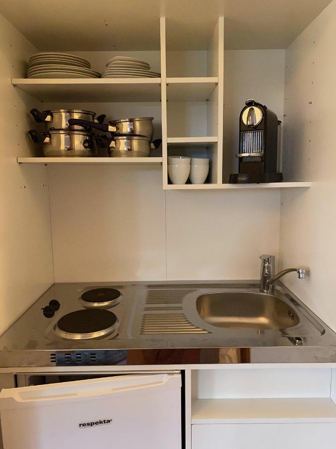 Modernes Alpenapartment Mit Sauna Wintergarten Und Pool Appartamento Salisburgo