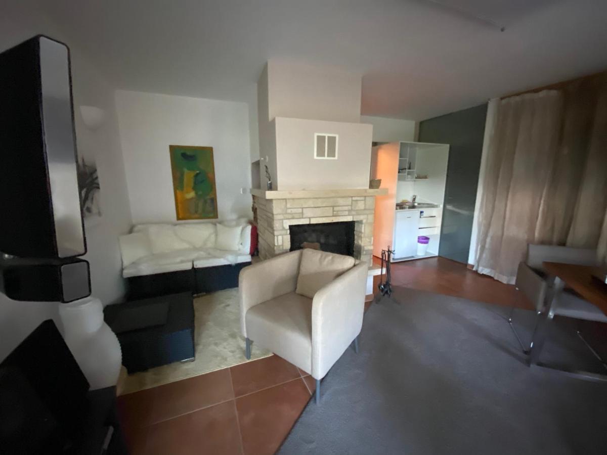 Modernes Alpenapartment Mit Sauna Wintergarten Und Pool Salisburgo